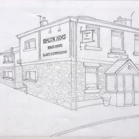 Emlyn Arms Bed & Breakfast Llanarthney Exterior photo