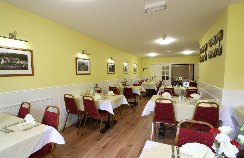 Emlyn Arms Bed & Breakfast Llanarthney Exterior photo